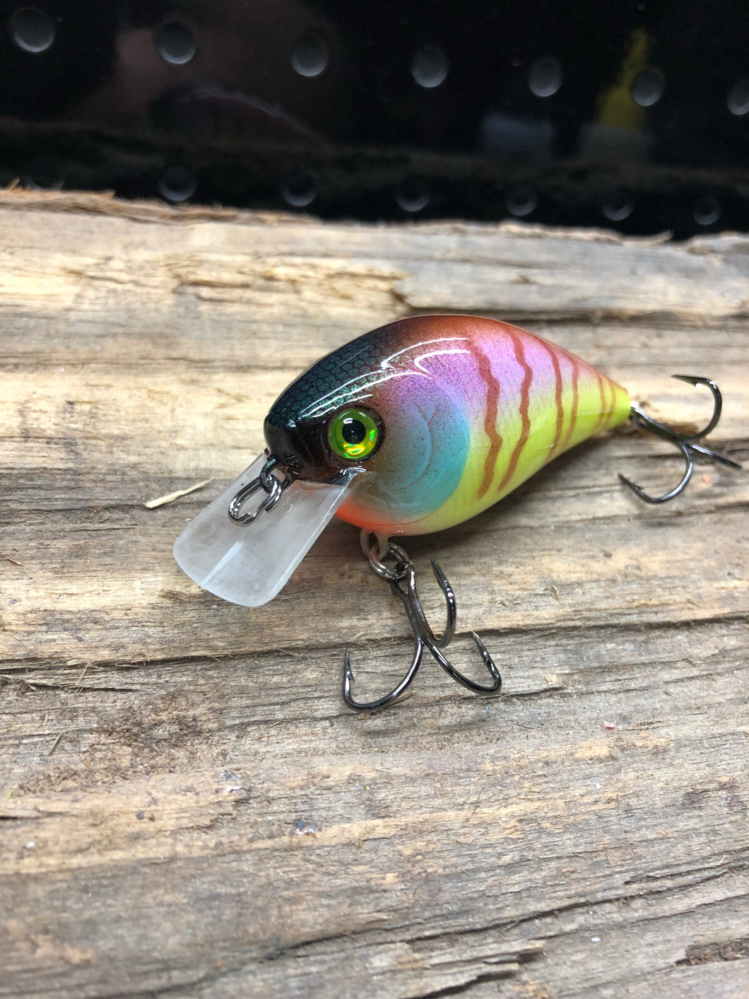 1.5 Square Bill Tiger Gill