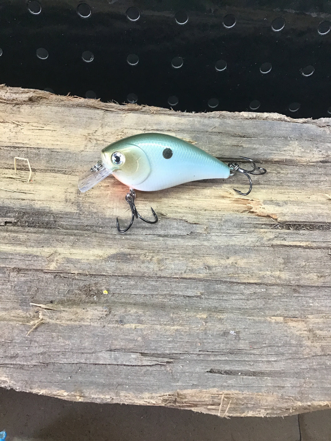 1.5 Square Bill Money Shad
