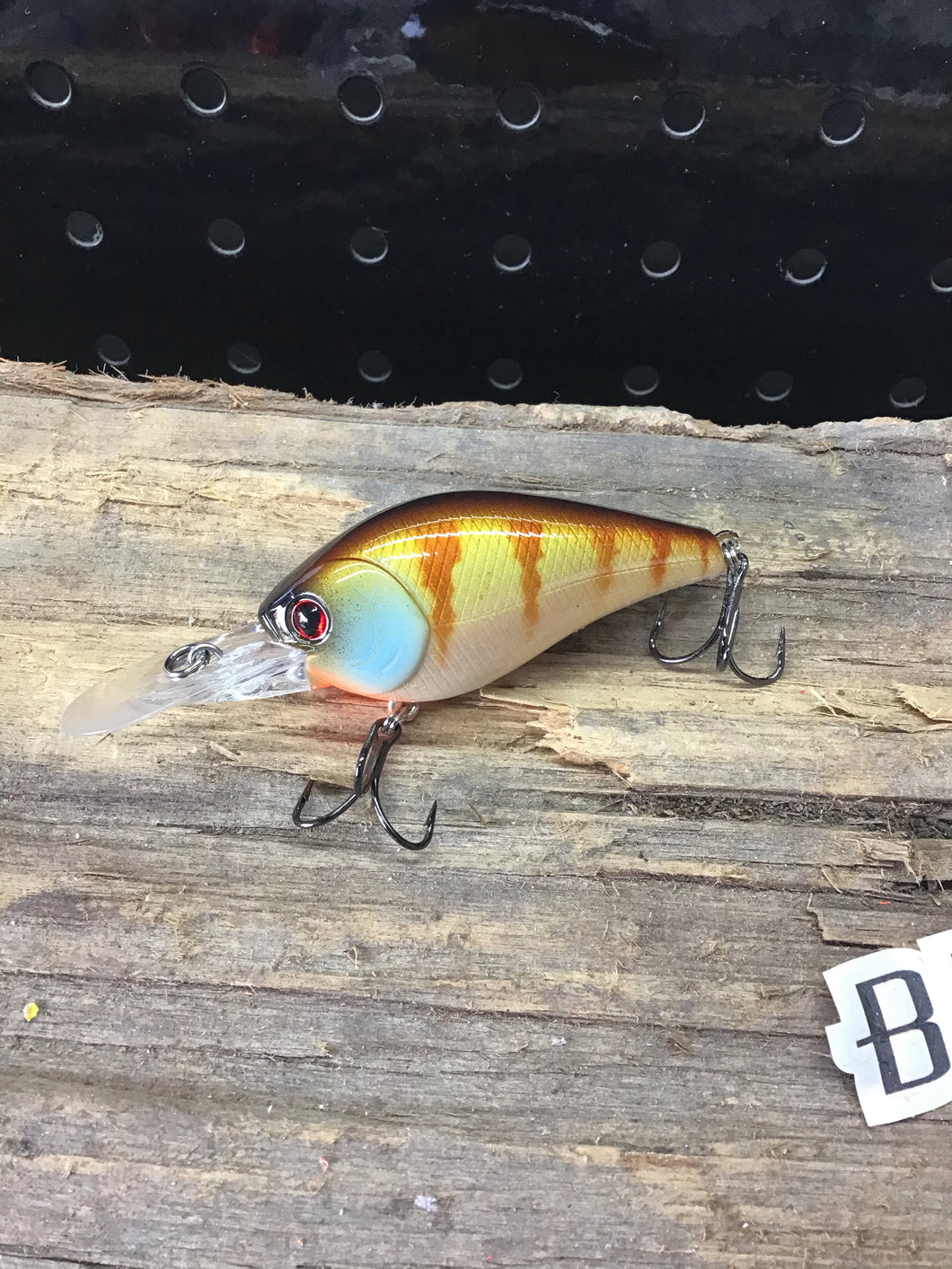 1.5 DD Bluegill