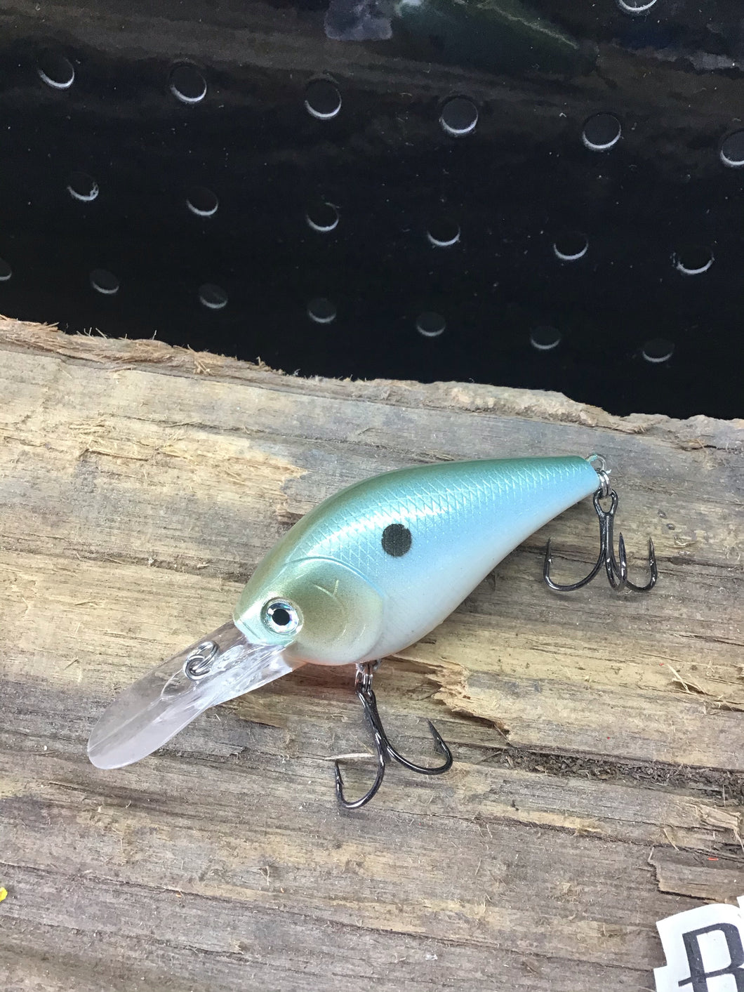 1.5 DD Money Shad