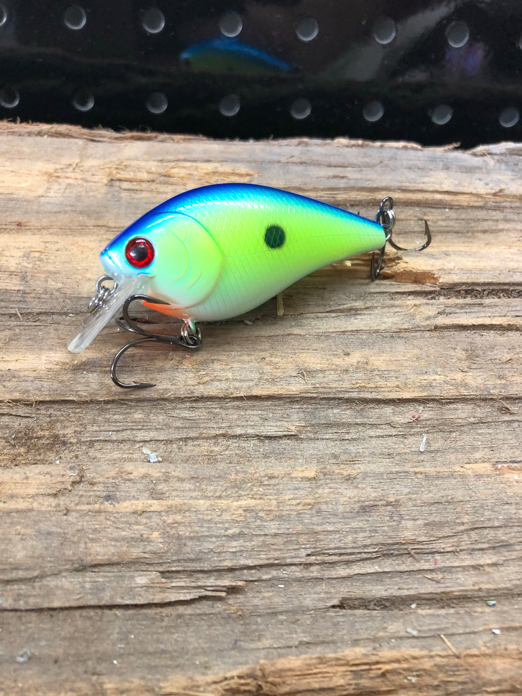 1.5 Square Bill Lil Joe Special