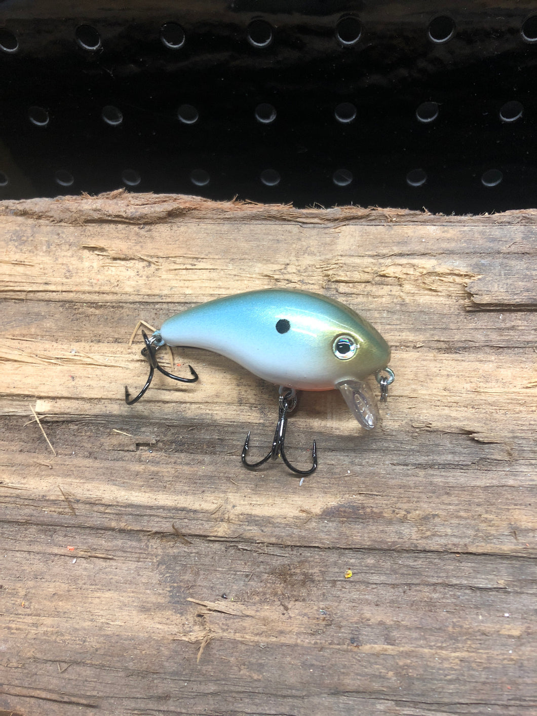 Marsh Runner Money Shad