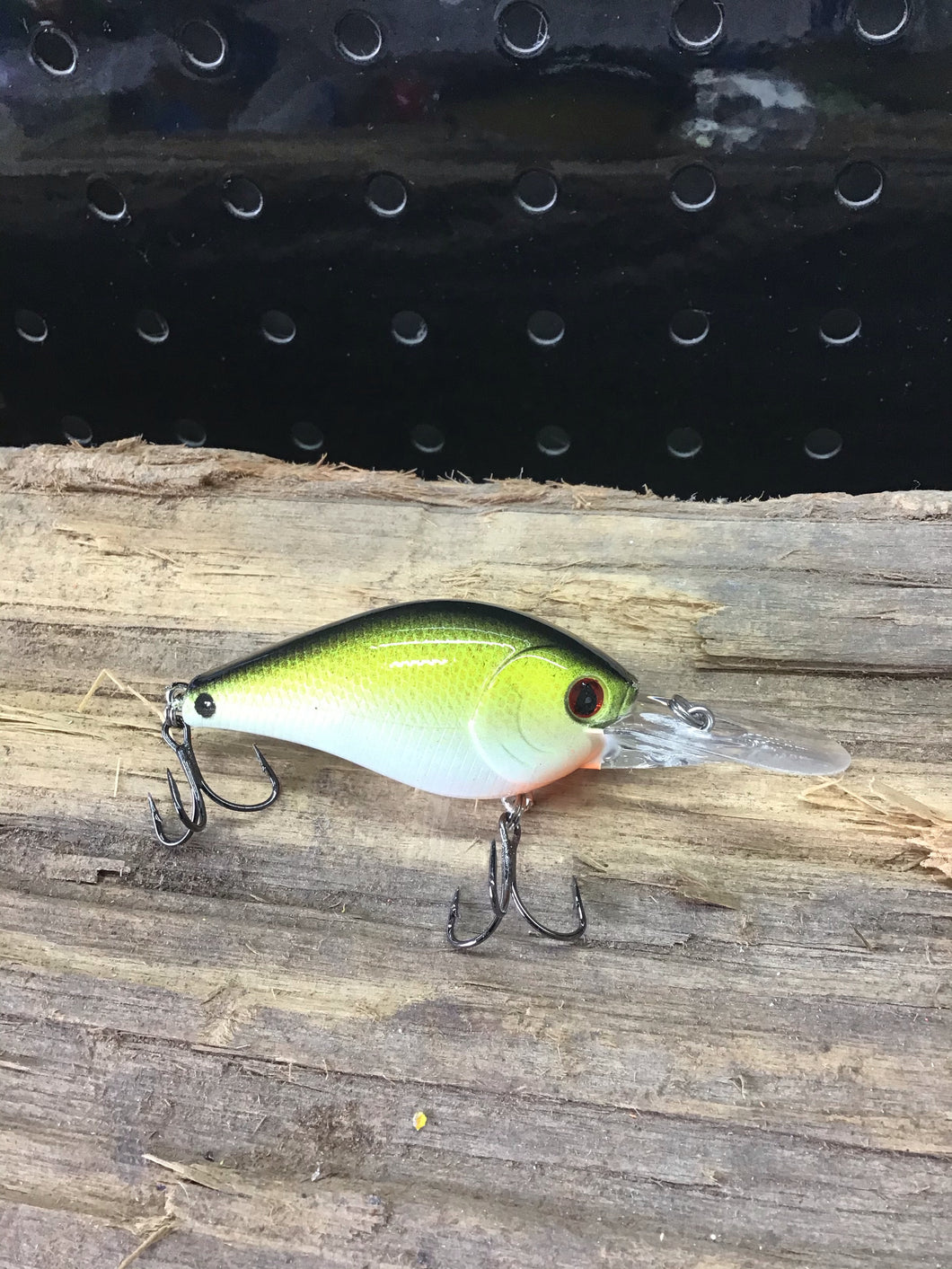 1.5 DD Tennessee Shad