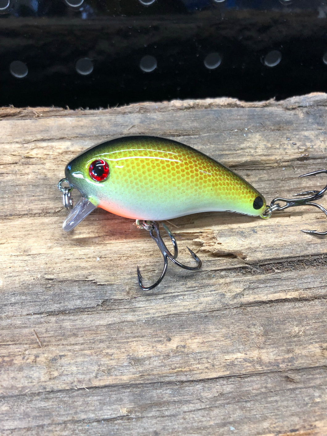 Marsh Runner Tennessee Shad
