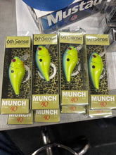 Custom Order - Steve G